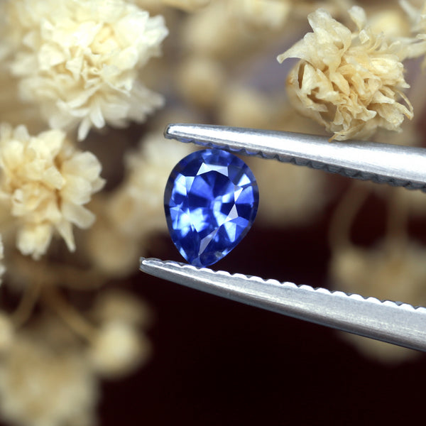 バレエ type L / lace flower sapphire blue Blue Sapphire and Diamond 14K White Gold Flower Ring - EF191