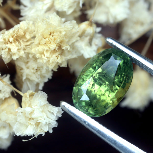 1.65ct Certified Natural Green Sapphire