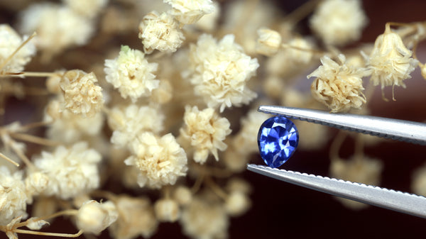 バレエ type L / lace flower sapphire blue バレエ type L / lace flower sapphire blue バレエ type L / lace